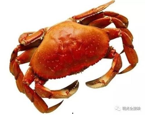 嘉兴蟹居爆料事件视频最新,揭开背后惊人真相，网友热议不断
